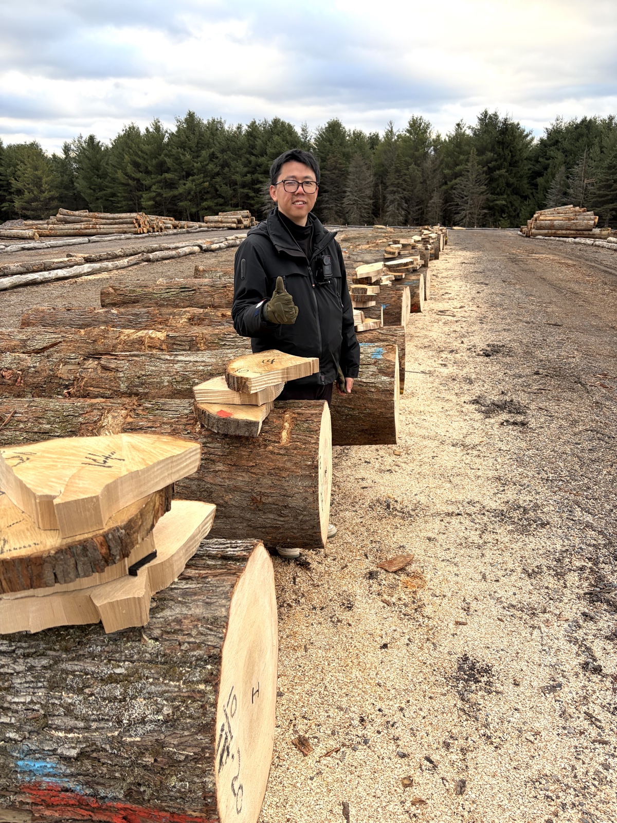 Abel 在美国原木堆场实地选材 On-site log selection in the U.S.